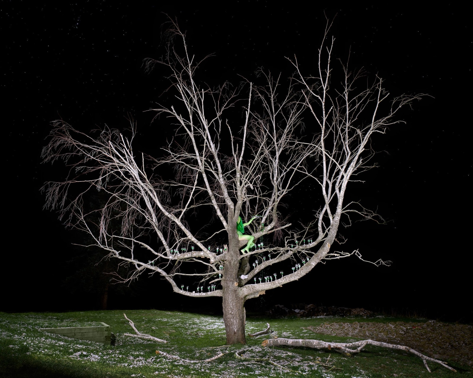 Sage Szkabarnicki-Stuart, Absinthe, 2022