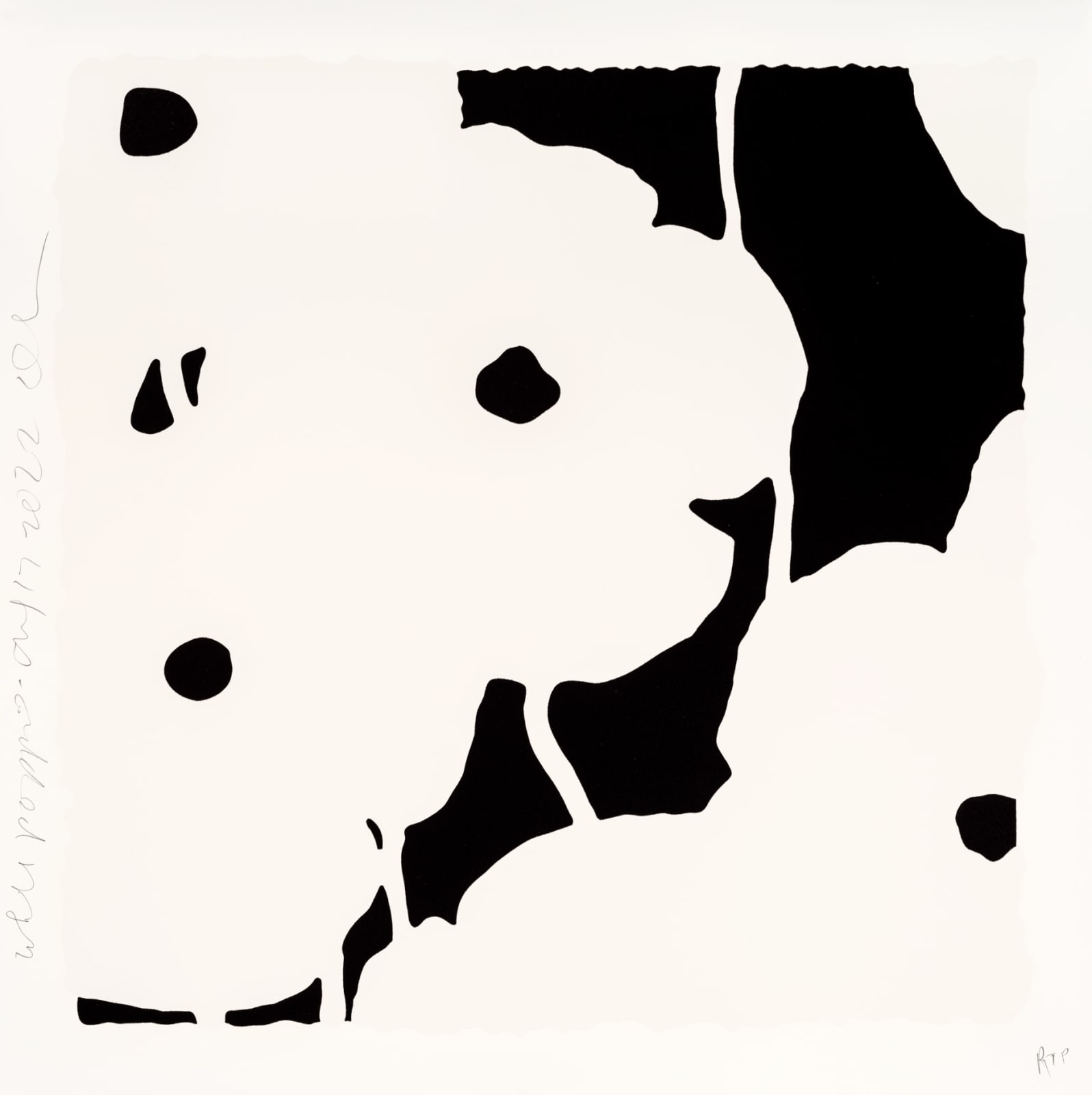 Donald Sultan, White Poppies, Aug 17, 2022, 2022