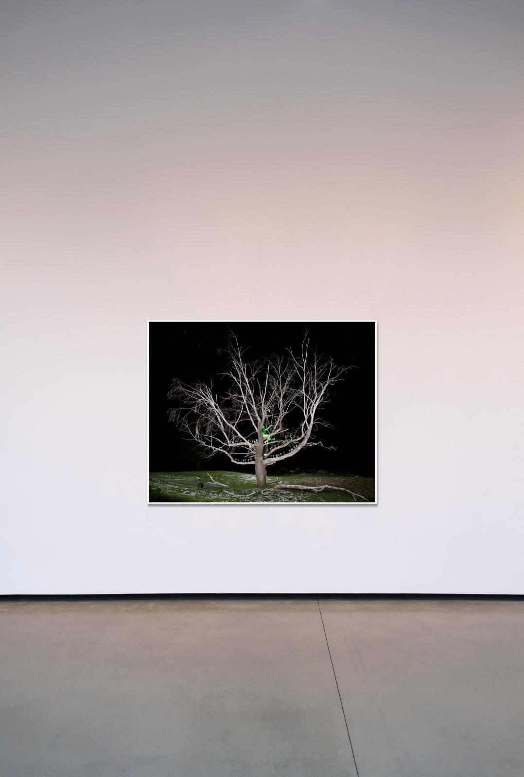 Sage Szkabarnicki-Stuart, Absinthe, 2022