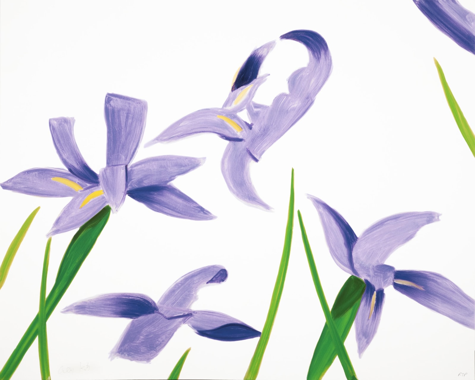 Alex Katz, Purple Irises on White, 2023