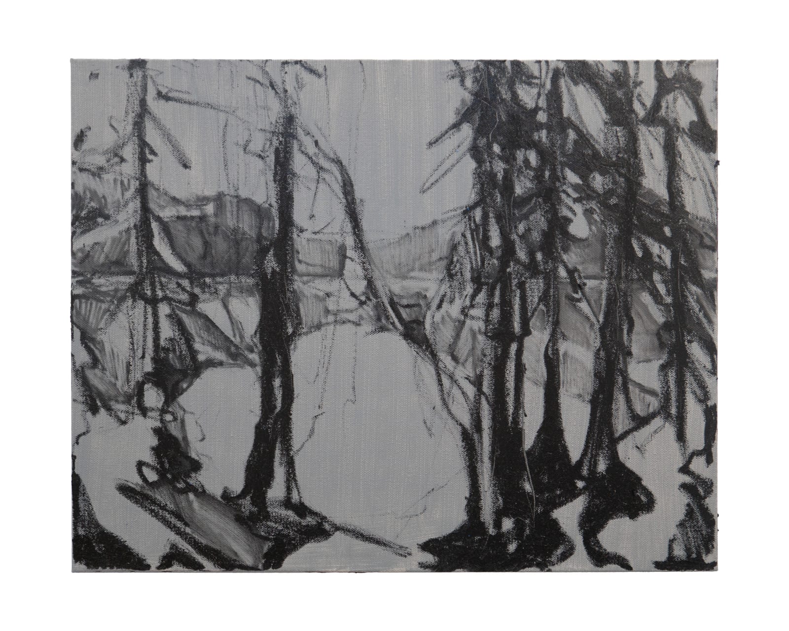 Shawn Evans, Quantum Sky: Study, 2025