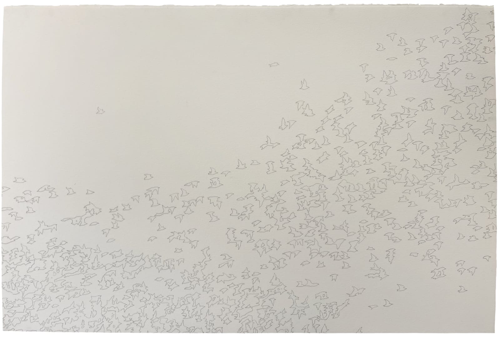 Eberhard Ross, Flight, 2008