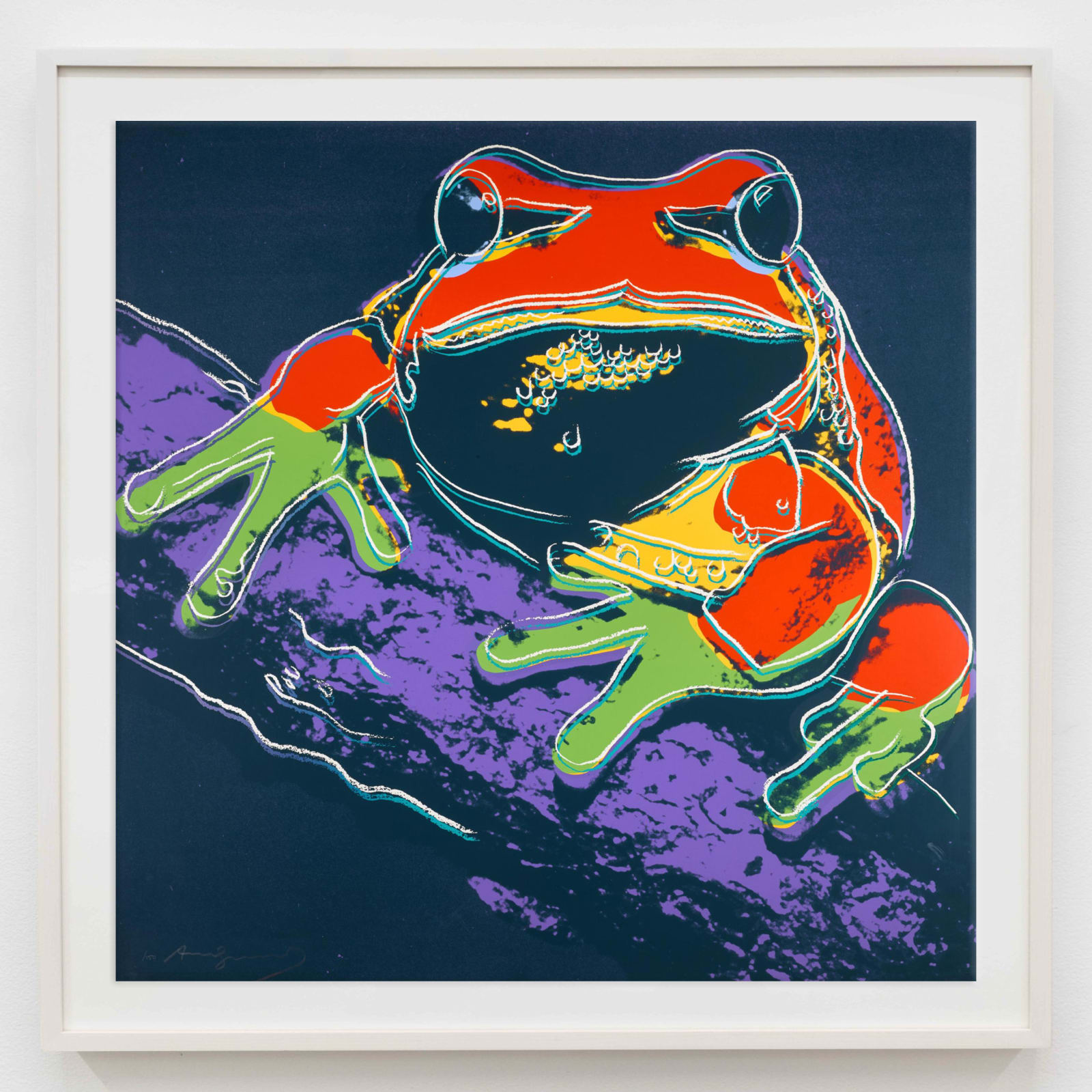 Andy Warhol, Pine Barrens Tree Frog (FS II.294), 1983