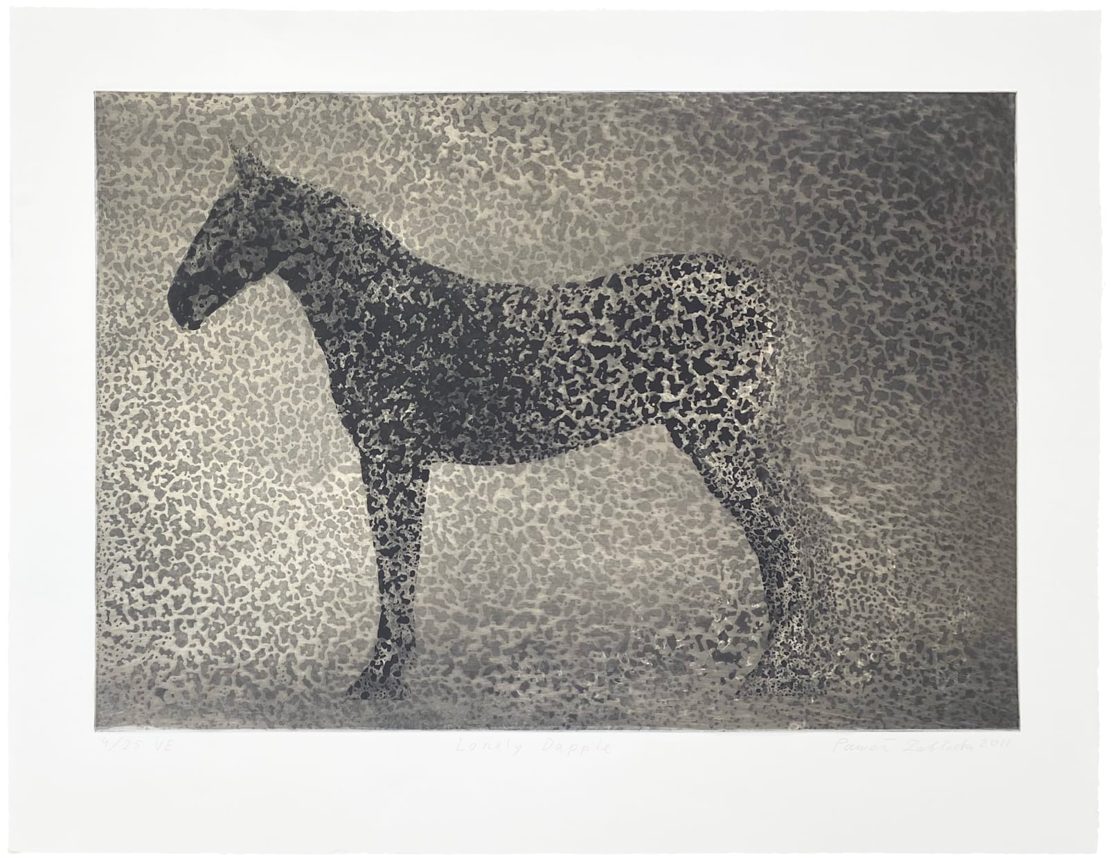 Pawel Zablocki, Lonely Dapple, 2011