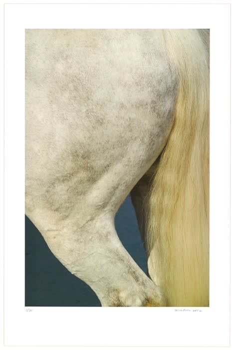 Christopher Makos, Blue, 2006