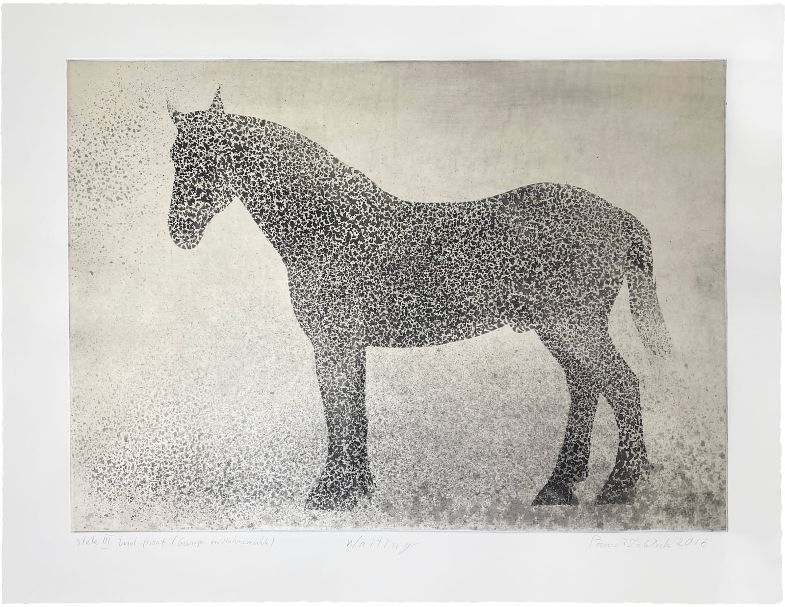 Pawel Zablocki, Waiting, 2016