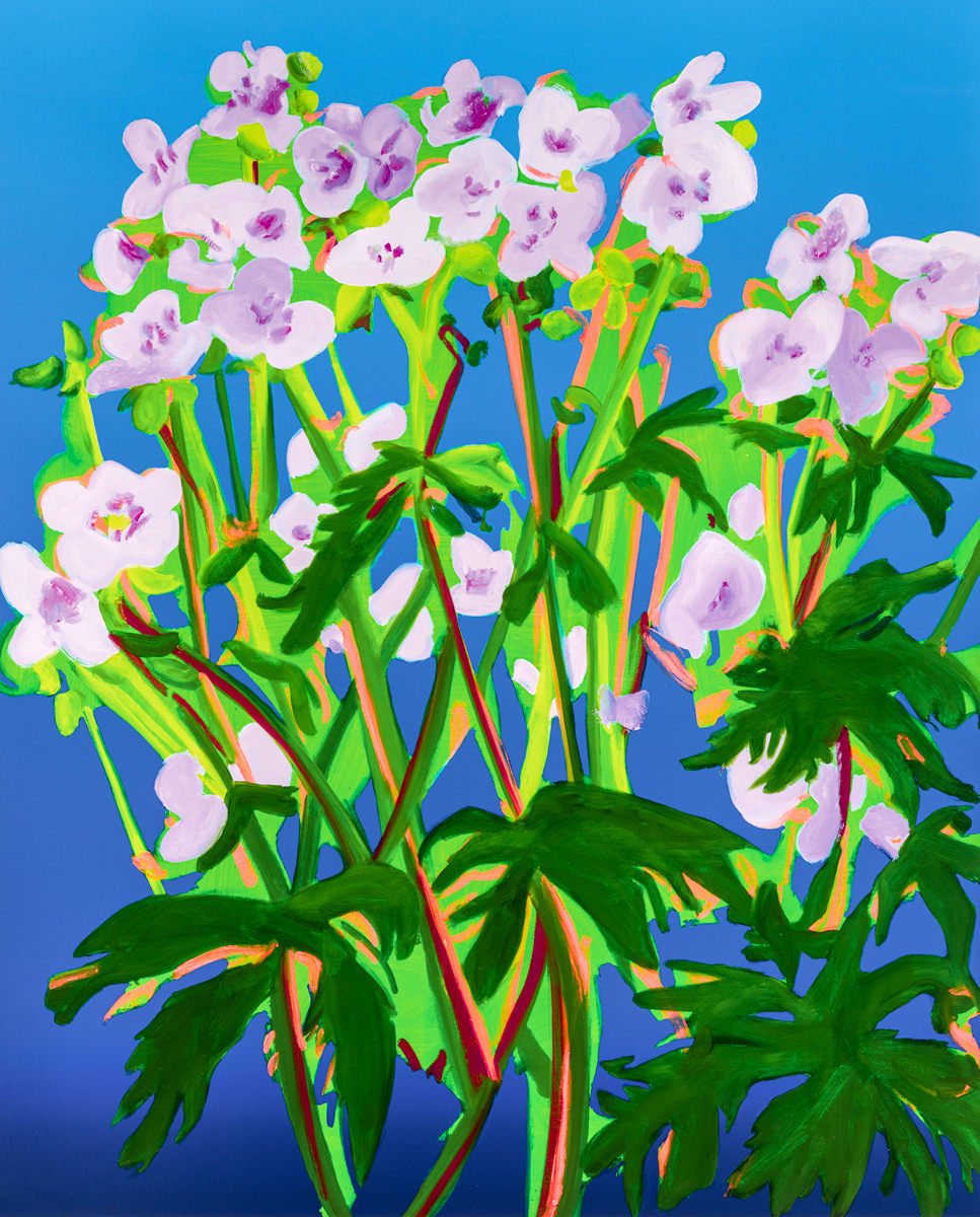 Nicole Wittenberg, Sweet William 2, 2021