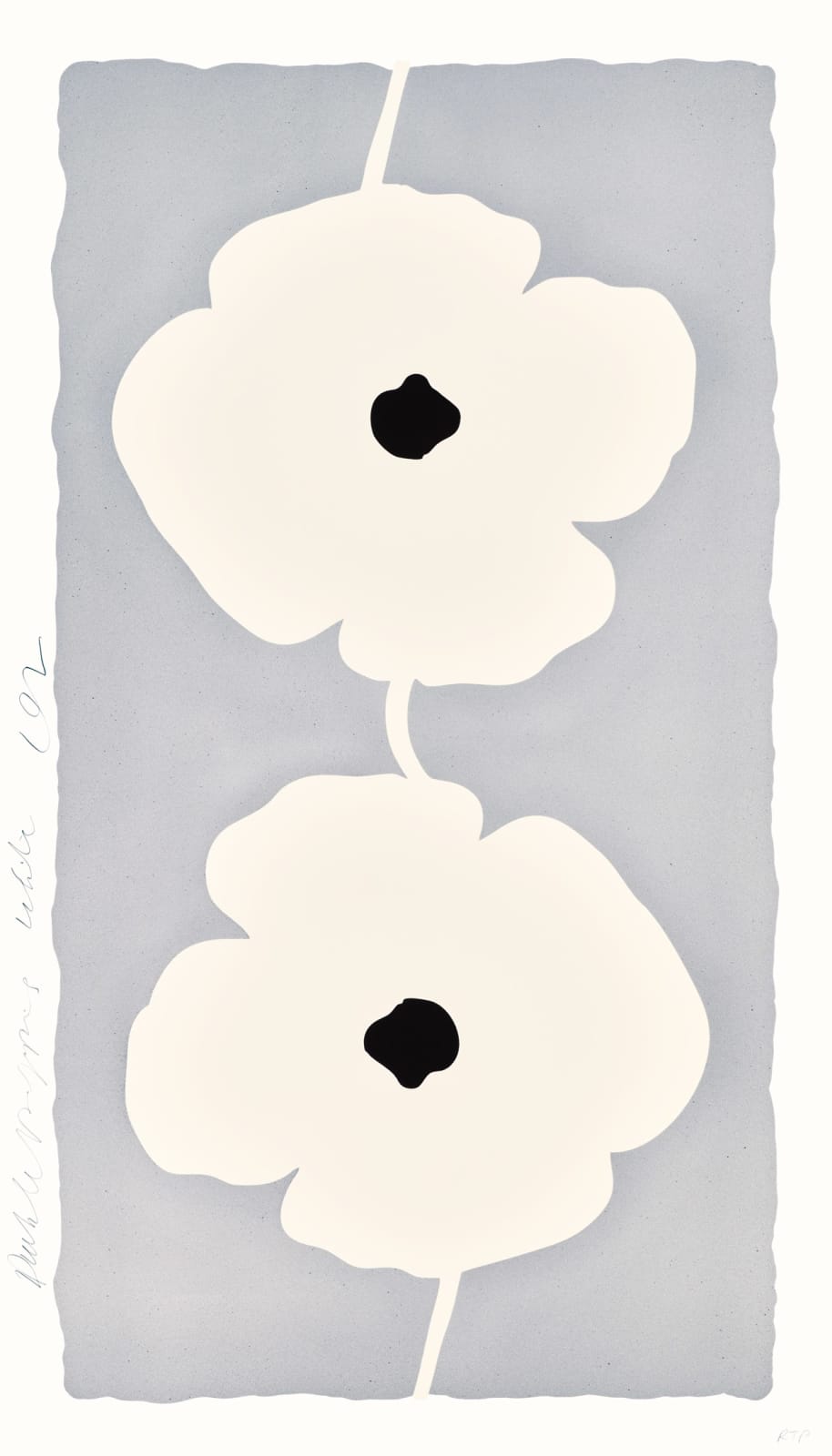 Donald Sultan, White Double Poppies, 2025
