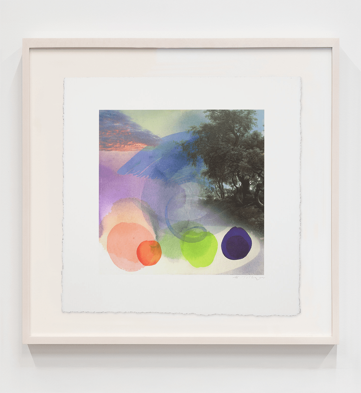 William Tillyer, Hambleton, 2019