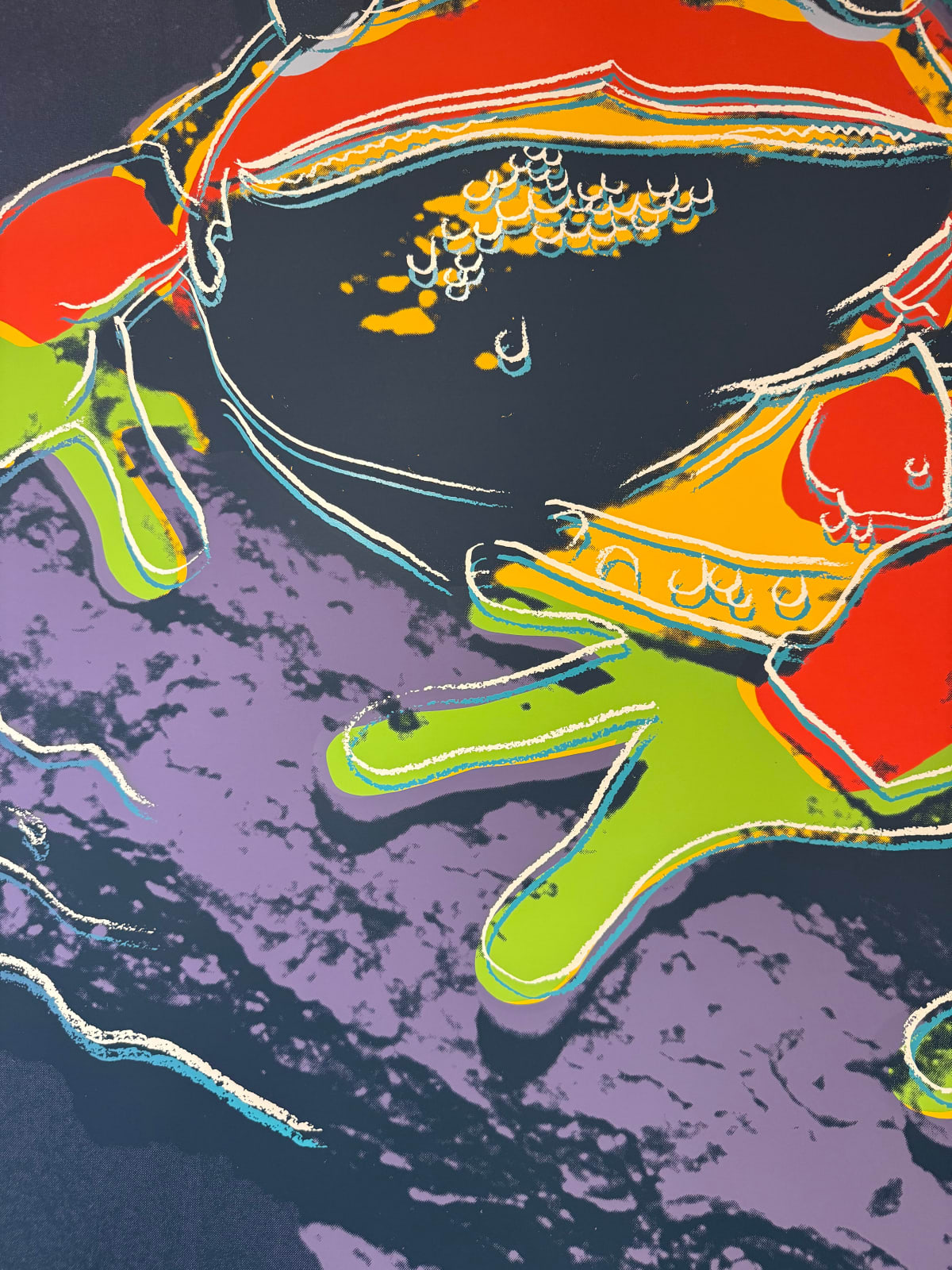 Andy Warhol, Pine Barrens Tree Frog (FS II.294), 1983