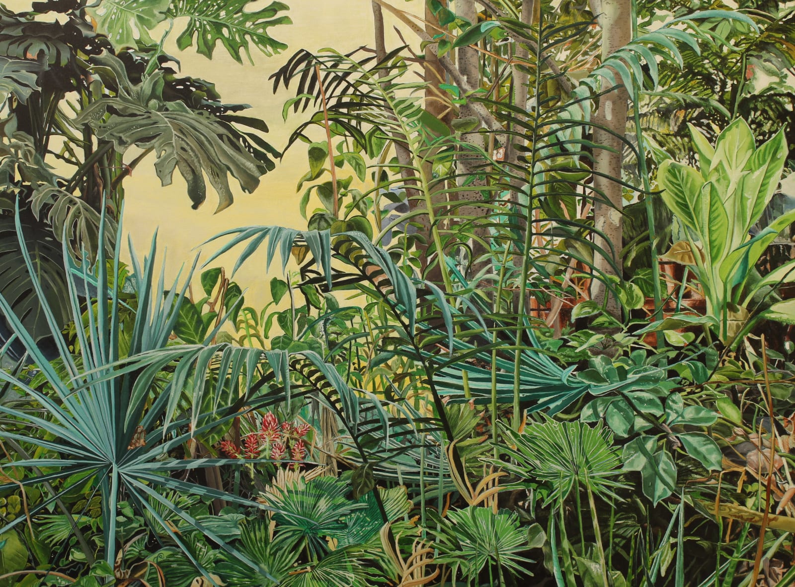 Simran Yagyik, Becoming of a Forest