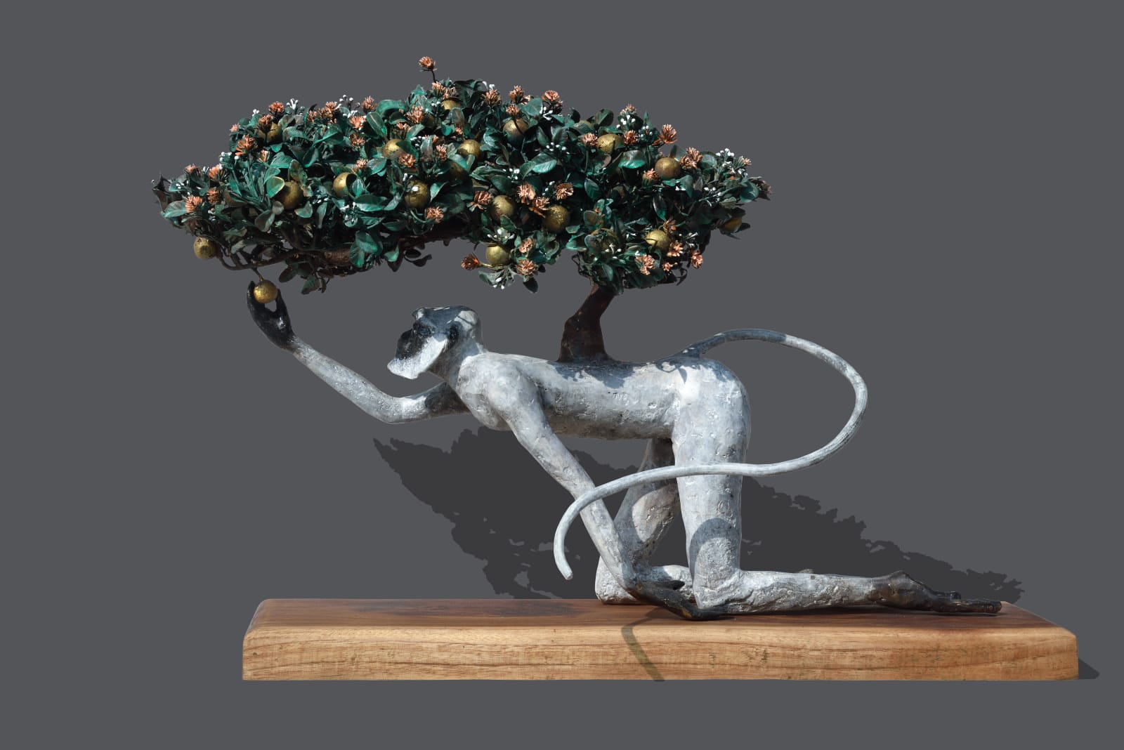 Dhruv Patel, Humility To Success