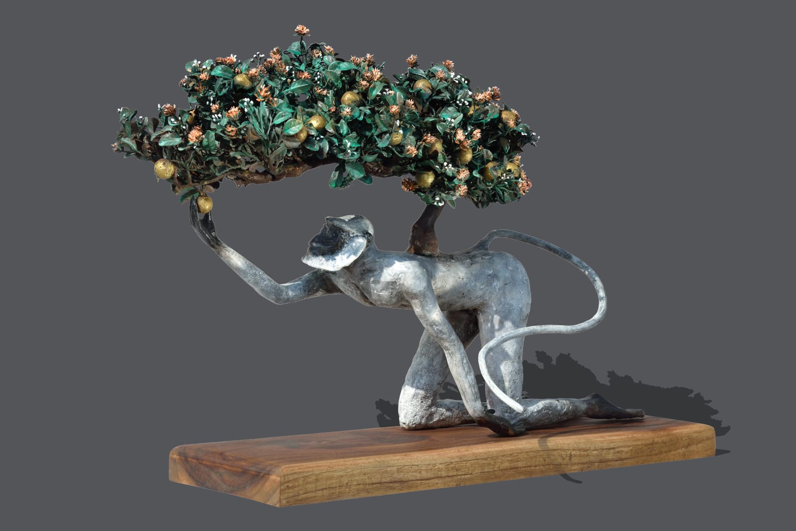 Dhruv Patel, Humility To Success