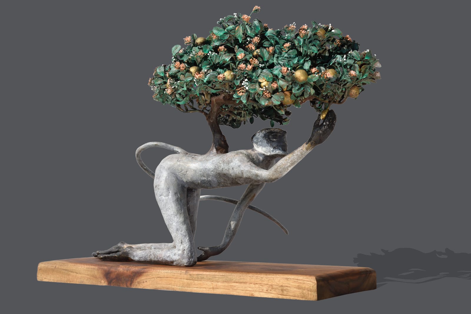 Dhruv Patel, Humility To Success