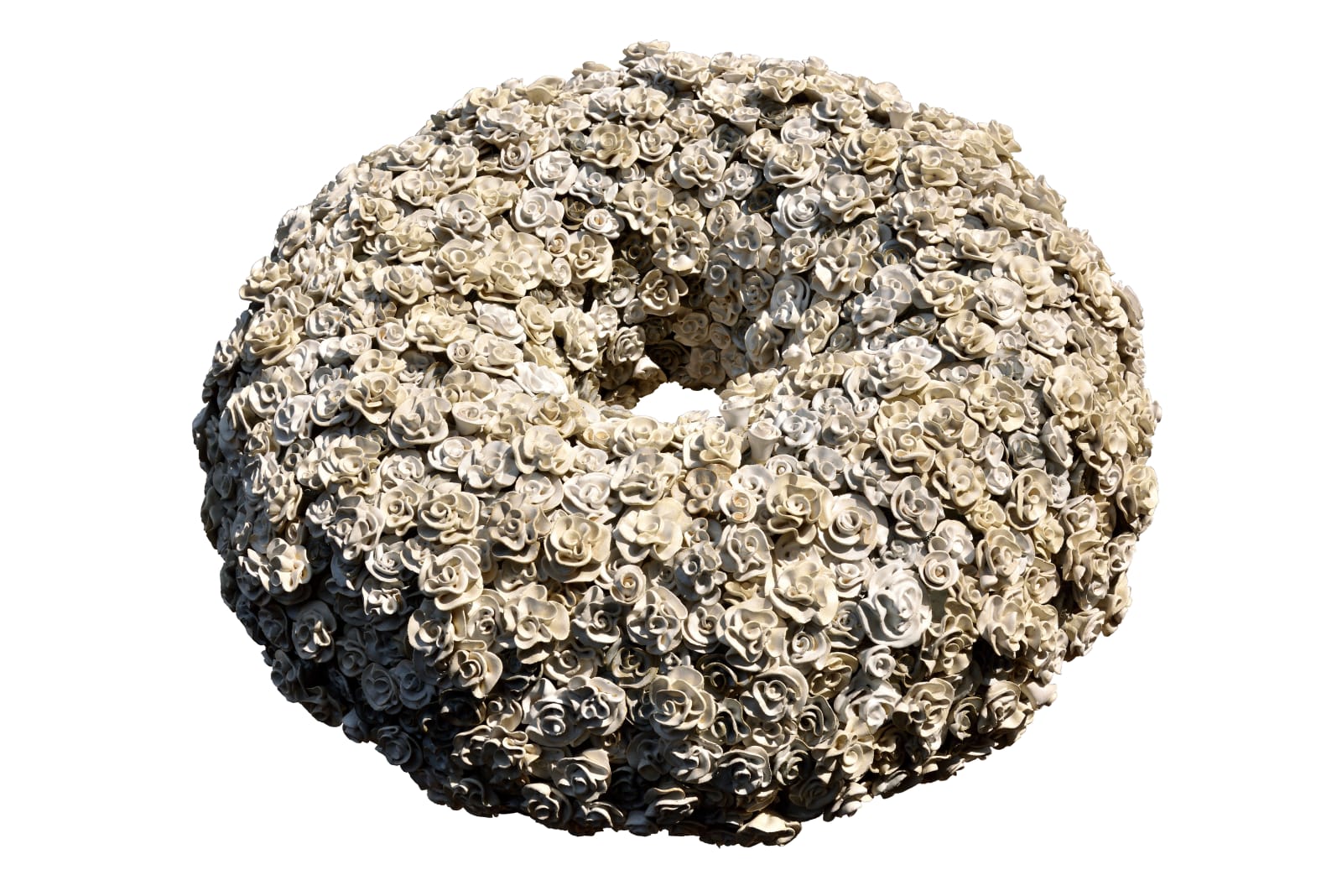 Saiyukta Chauhan, Garden of countless flowers