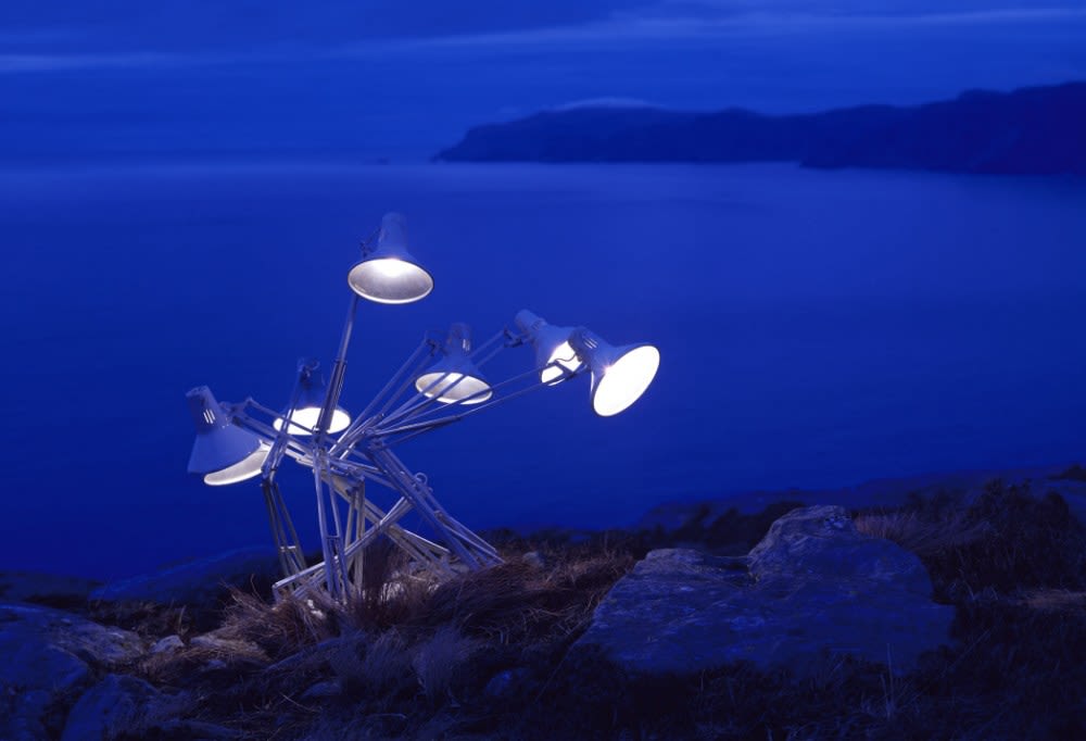 Rune Guneriussen, One can rely on the prudence of his decisions, 2008