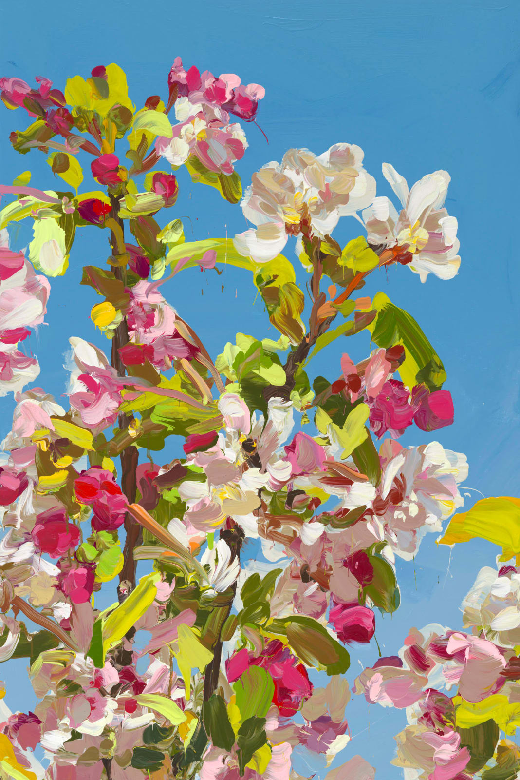 Jan de Vliegher, Blossom 51, 2022