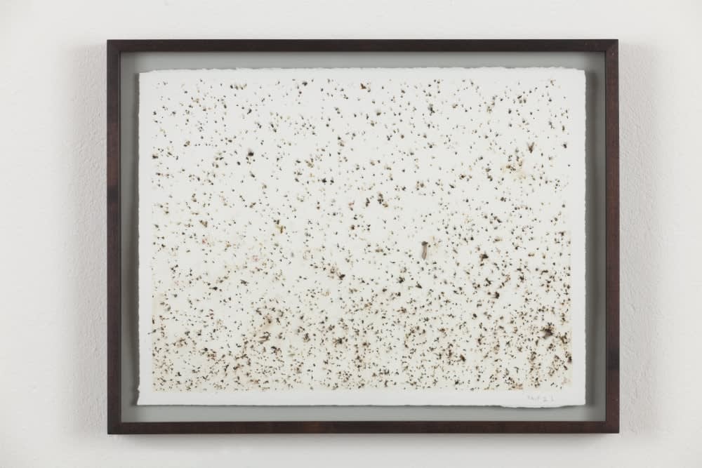 Robert Barta, Never miss a flight, 2011