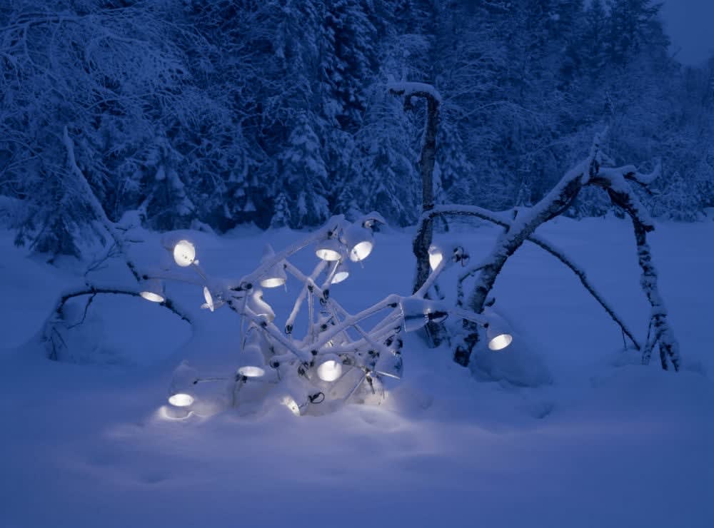 Rune Guneriussen, Extension of ineffective structures, 2014