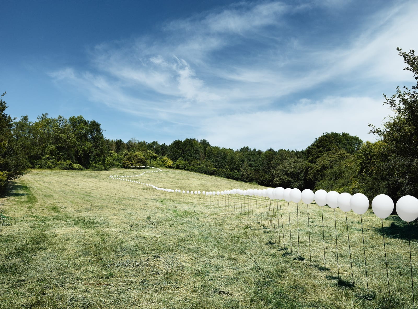 Charles Pétillon, La Ligne, 2018