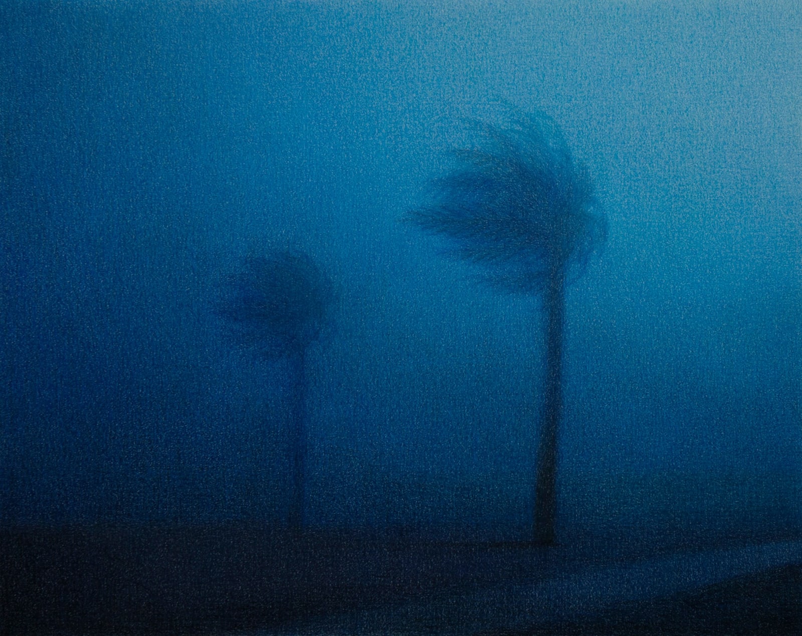 Steffen Kern, Two Palm Tress, 2025