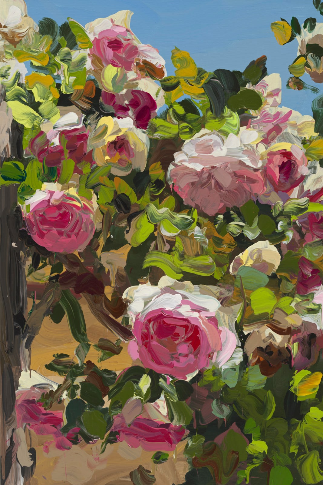 Jan de Vliegher, Roses 26, 2022
