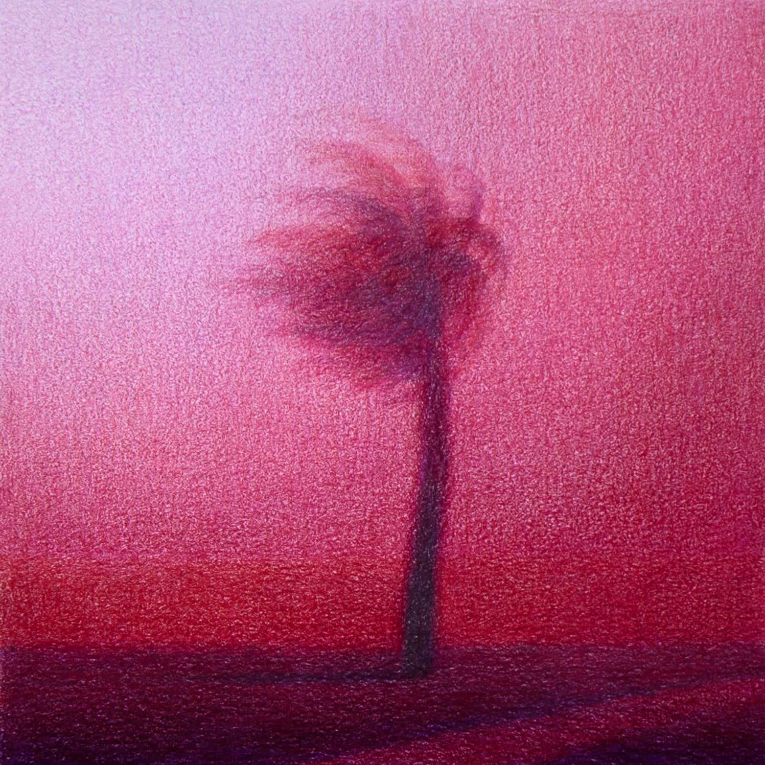 Steffen Kern, Red Palm, 2025