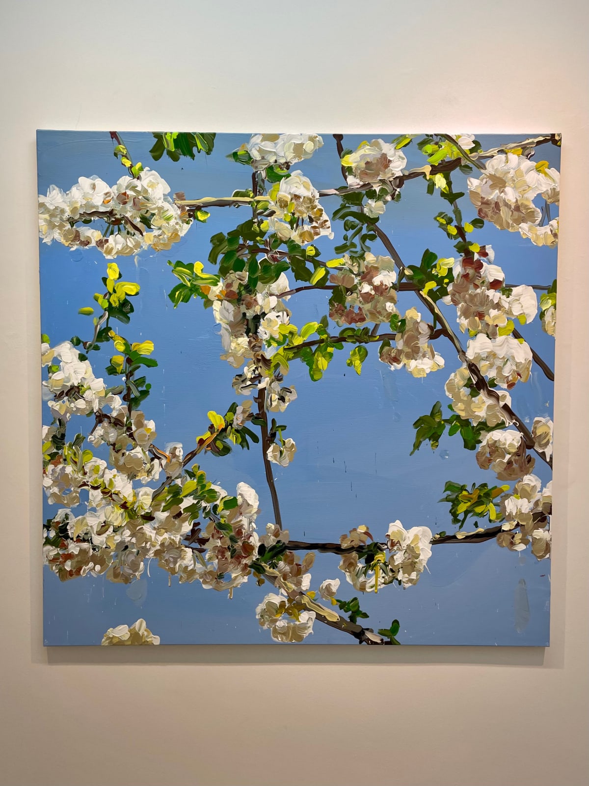 Jan de Vliegher, Blossom 43, 2022