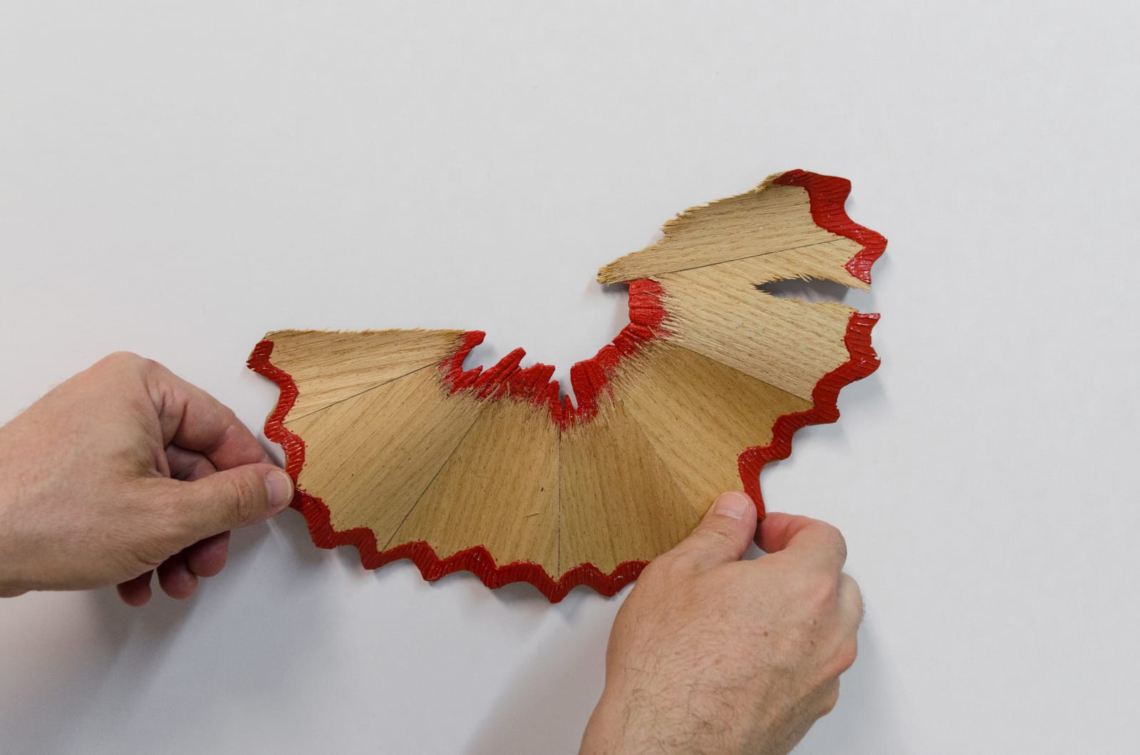 Rómulo Celdran, MACRO 25, 2020