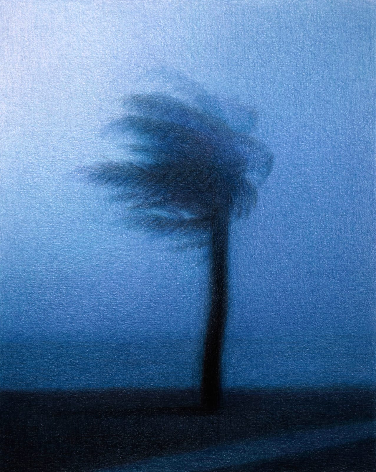 Steffen Kern, Palm, 2024
