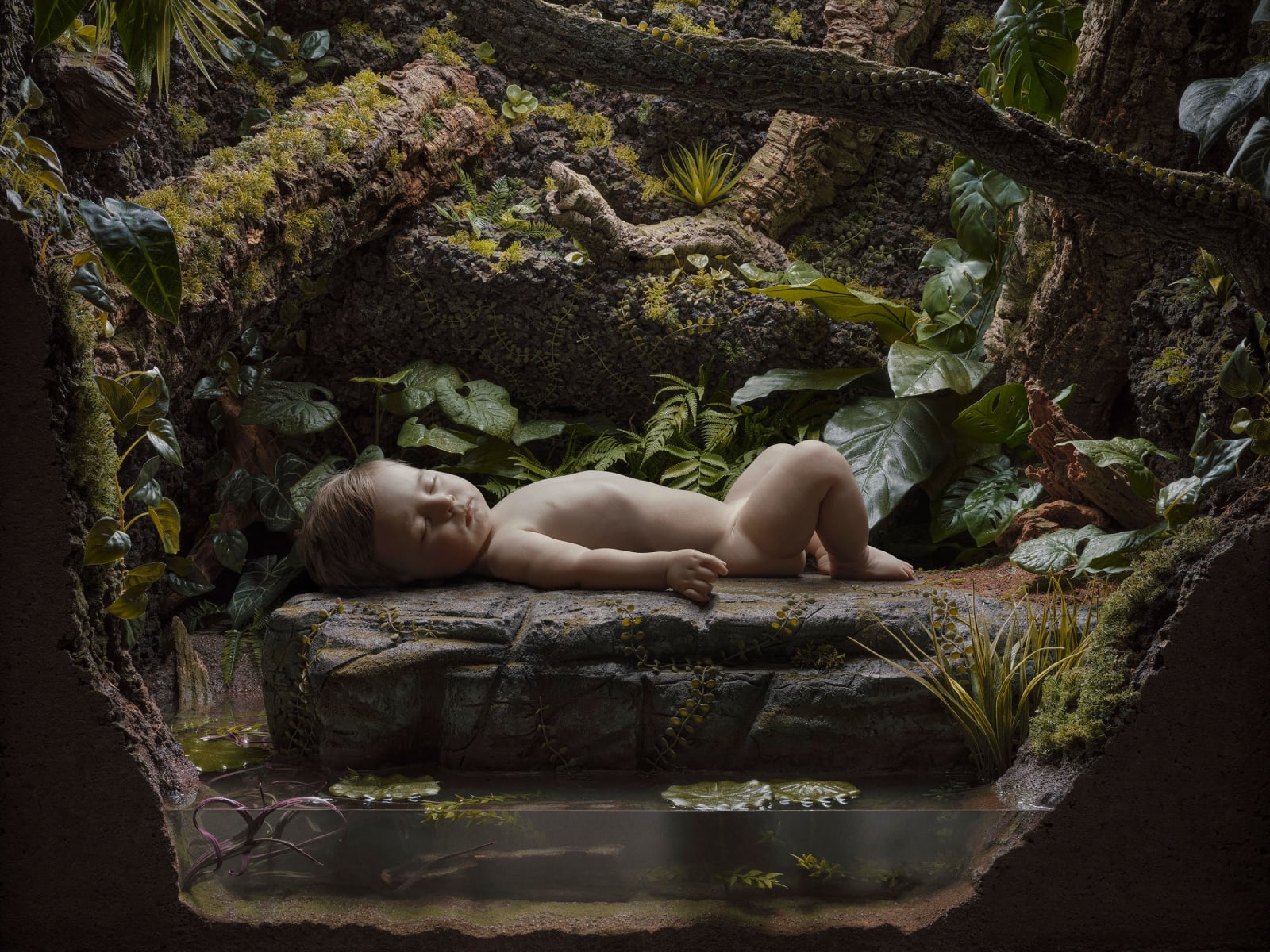 Dirk Hardy, Vivarium, Episode 13, Echo Down the Passage (part 2), 2024
