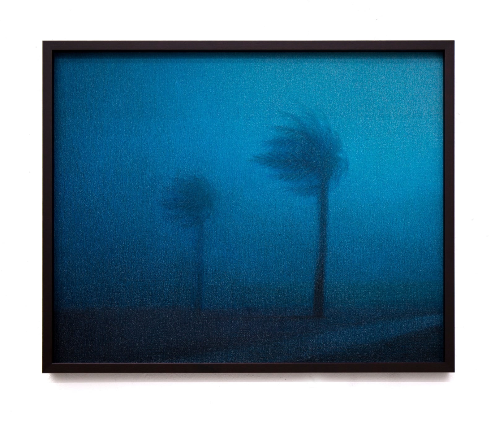 Steffen Kern, Two Palm Tress, 2025