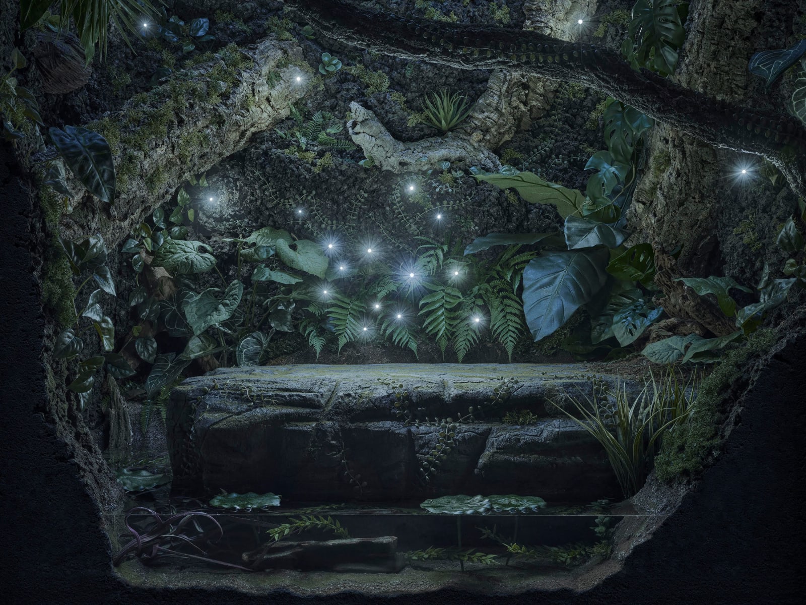 Dirk Hardy, Vivarium, Episode 12, Echo Down the Passage (part 1), 2024