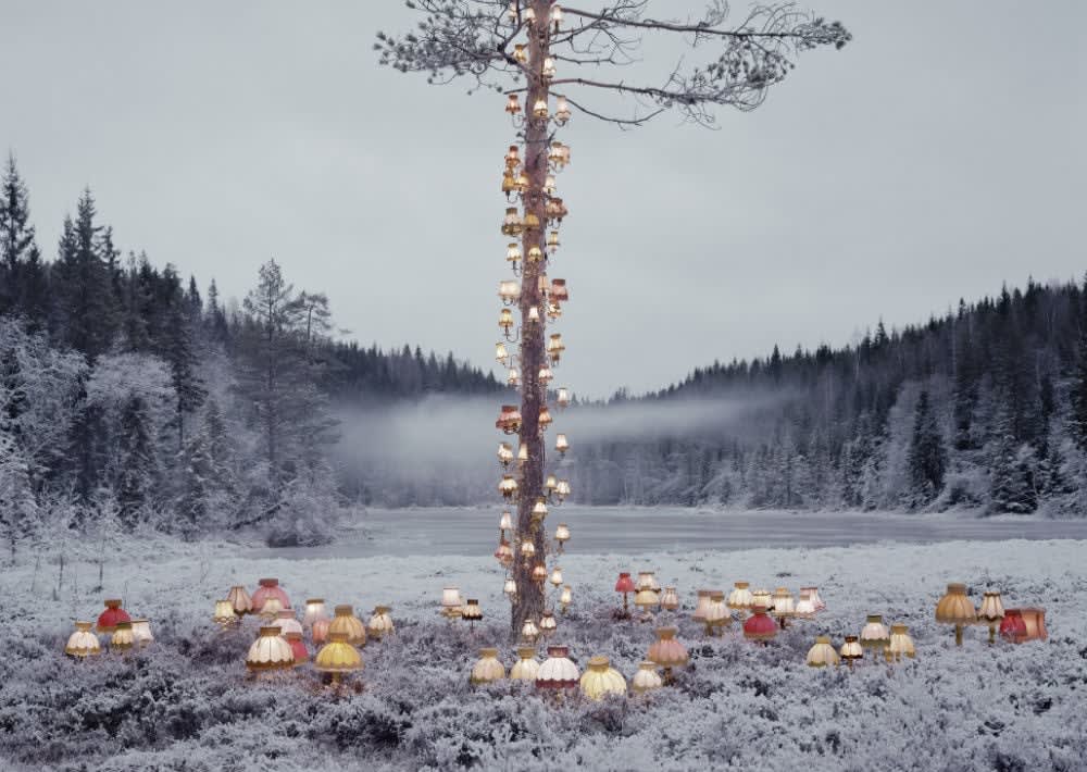 Rune Guneriussen, At no time defeat sunrise, 2014