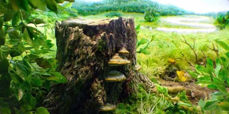 Patrick Jacobs, Oak Stump with Red Branded Bracket (Detail)