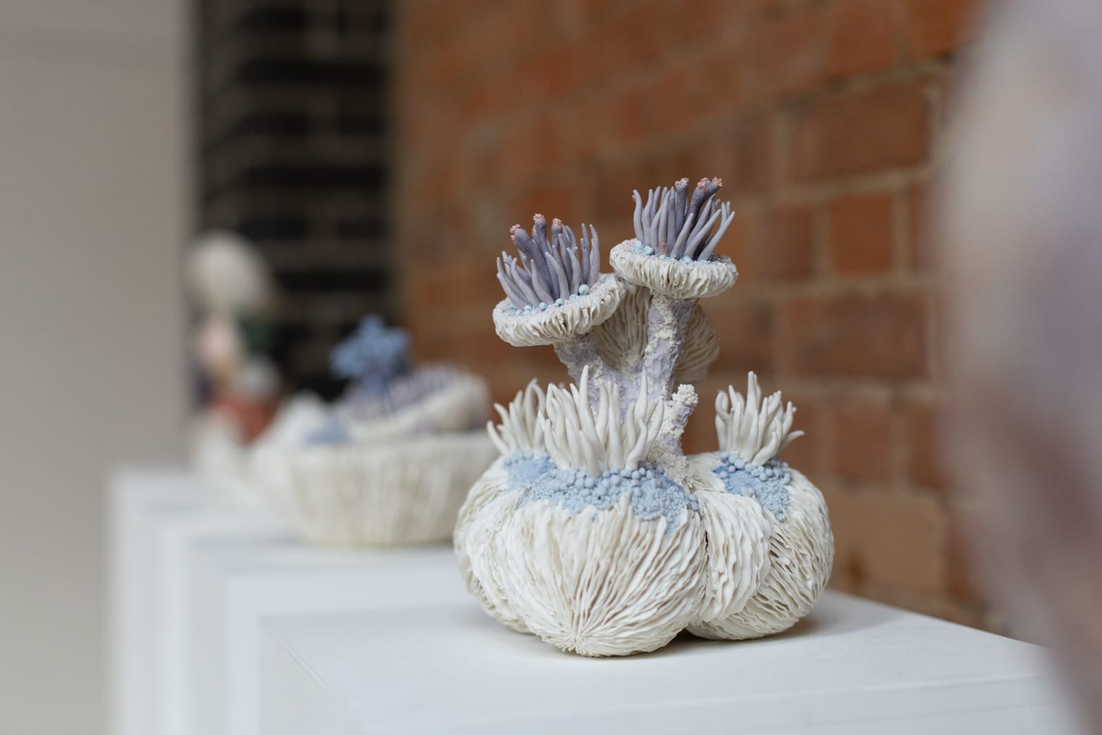 Erum Aamir, Libido, 2024