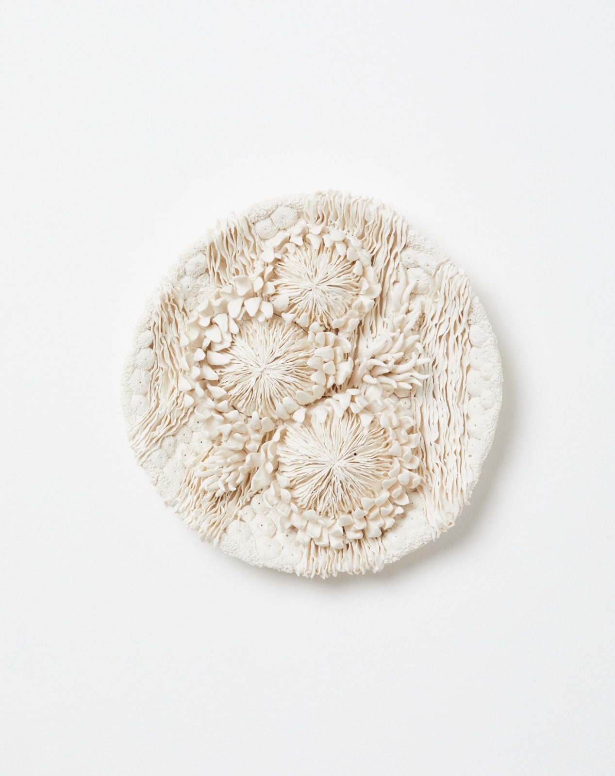 Erum Aamir, Hortus Albus, 2025