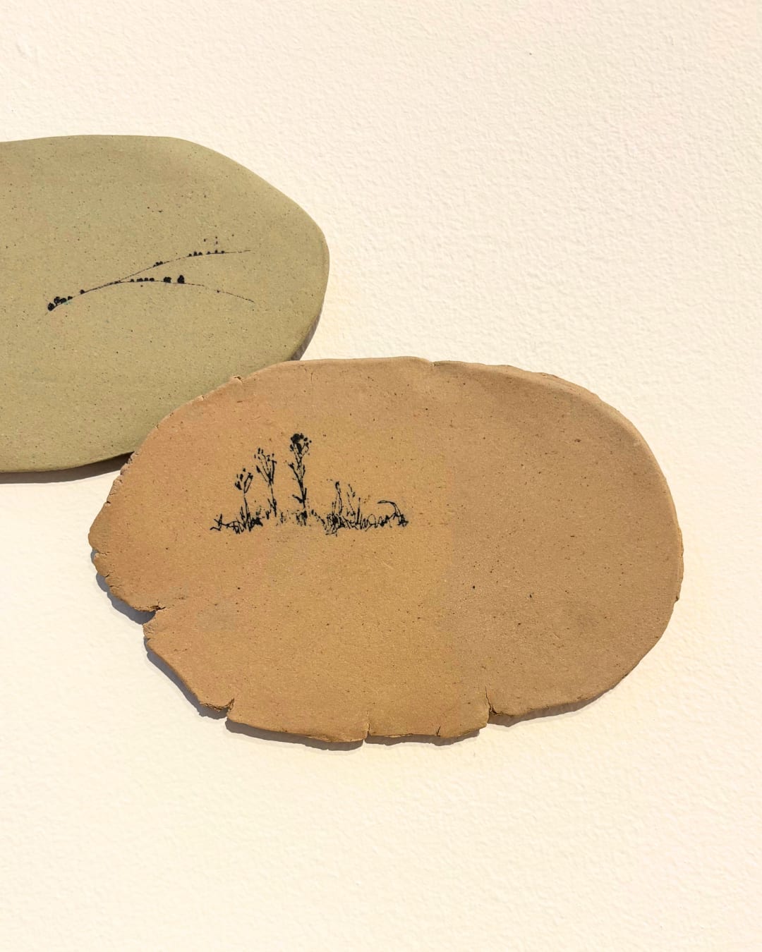 Katie Spragg, Autumn ragwort #3, 2025