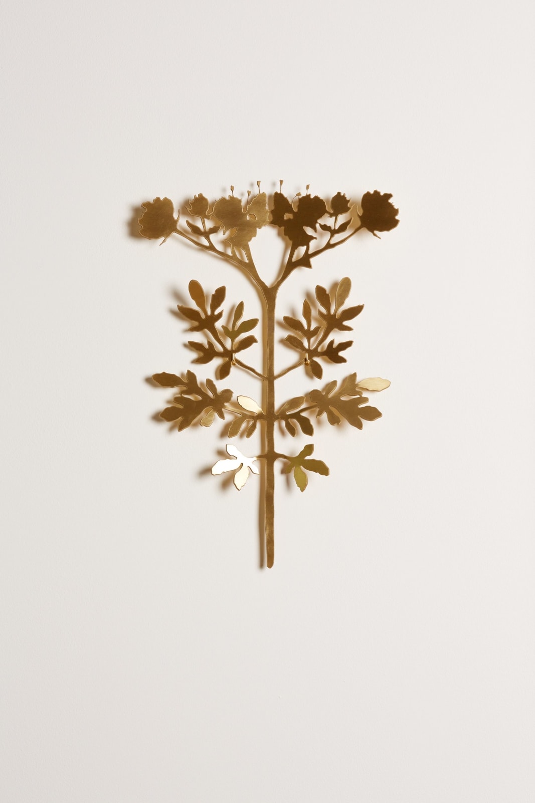 Kerry Anne Lemon, Summer Rue, 2025