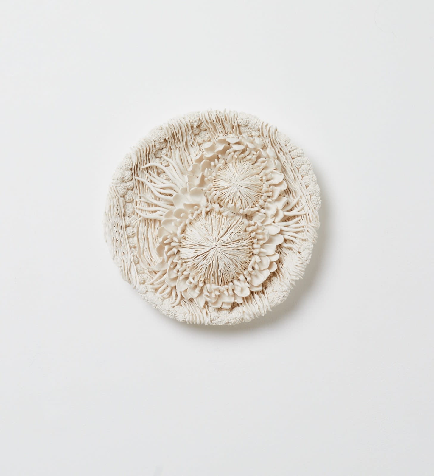 Erum Aamir, Hortus Albus II, 2025