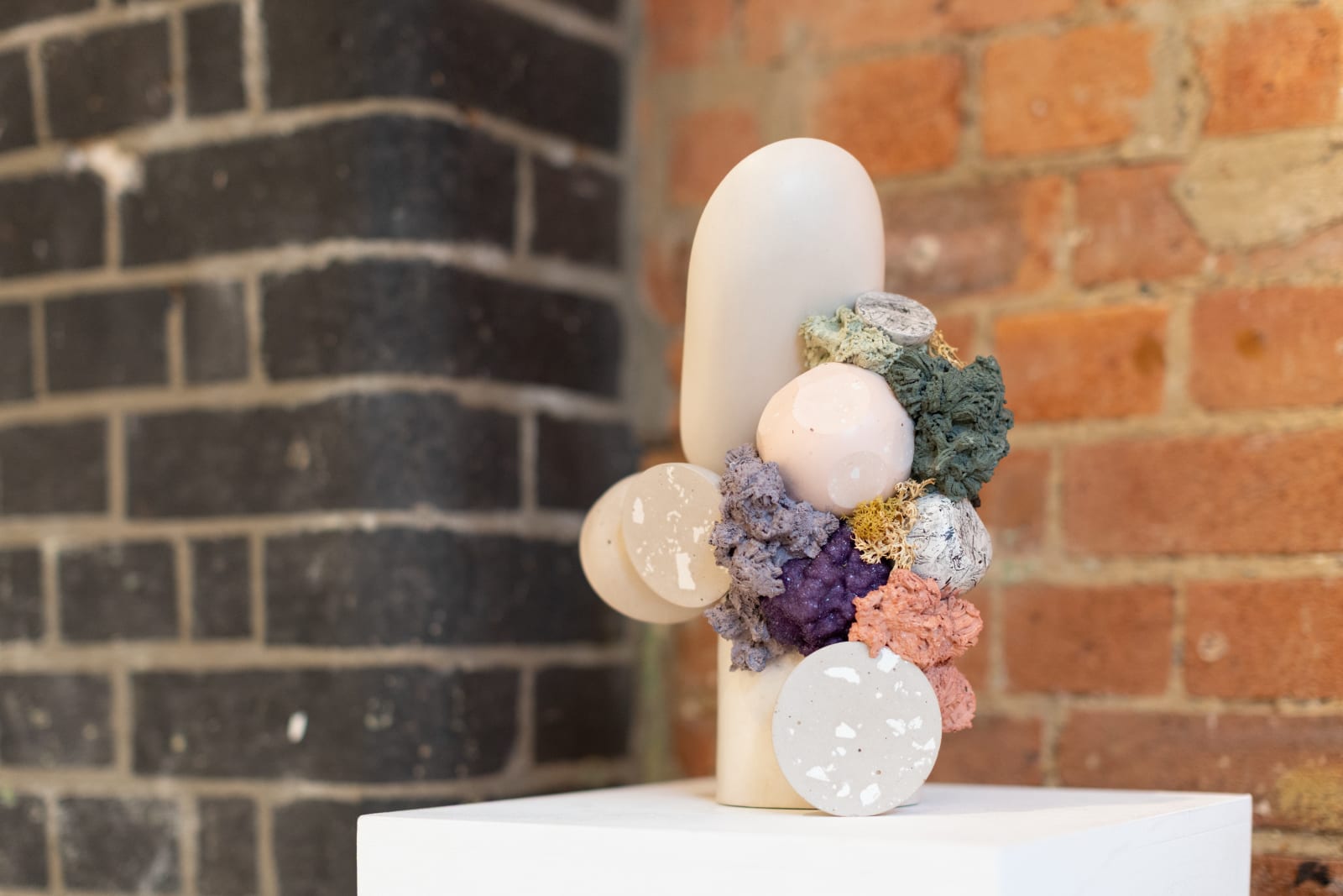 Vic Wright, Seed, 2023