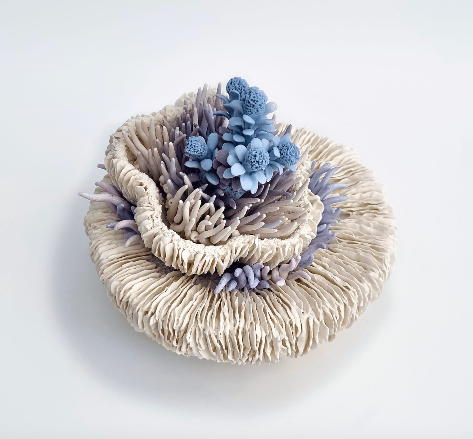 Erum Aamir, Delusio, 2024