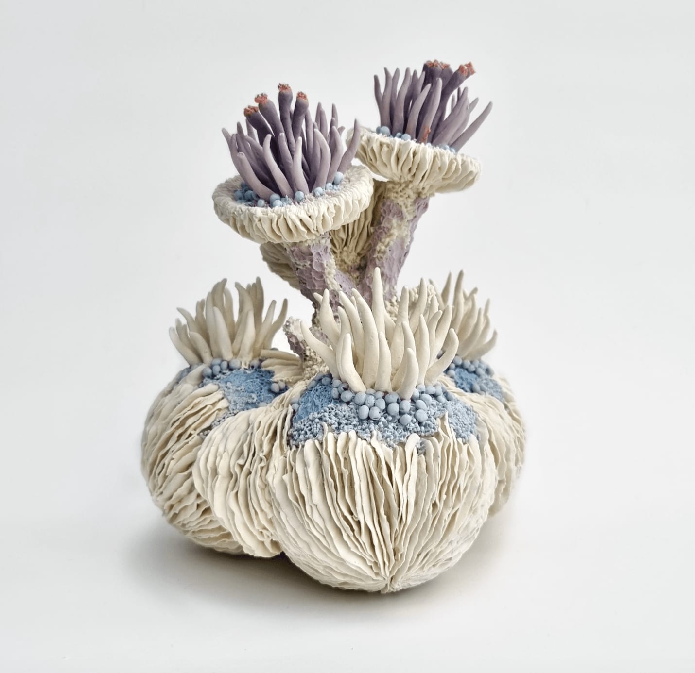 Erum Aamir, Libido, 2024