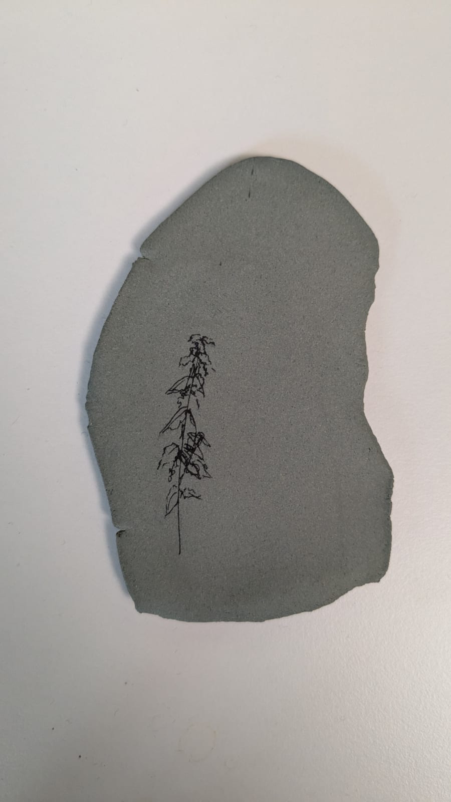 Katie Spragg, Trackside nettle, 2025