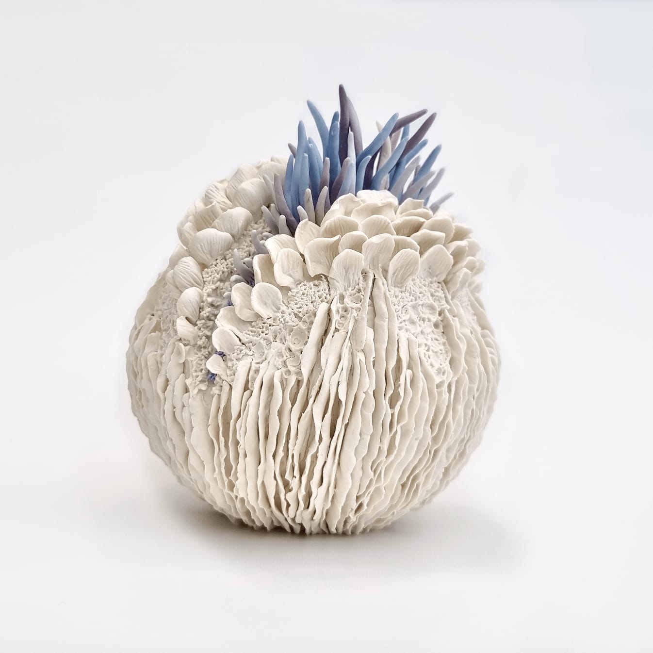 Erum Aamir, Somnium, 2024