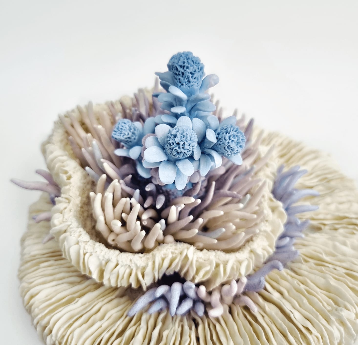 Erum Aamir, Delusio, 2024