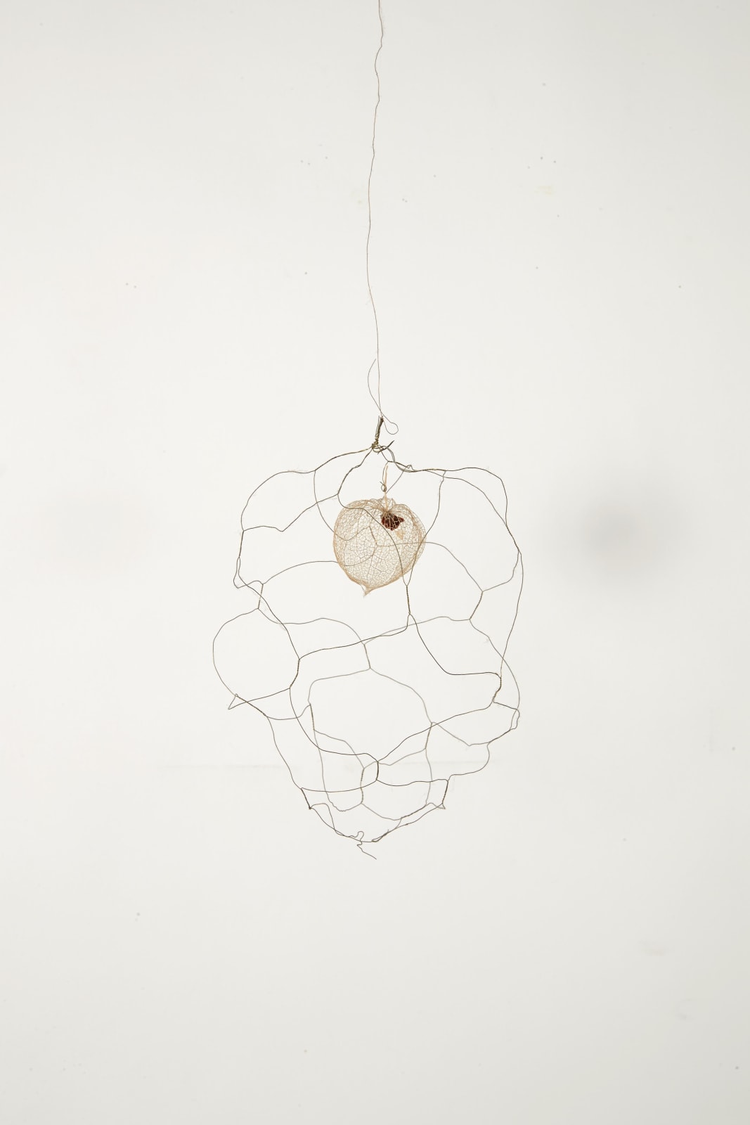 Sabine Monirys, Untitled