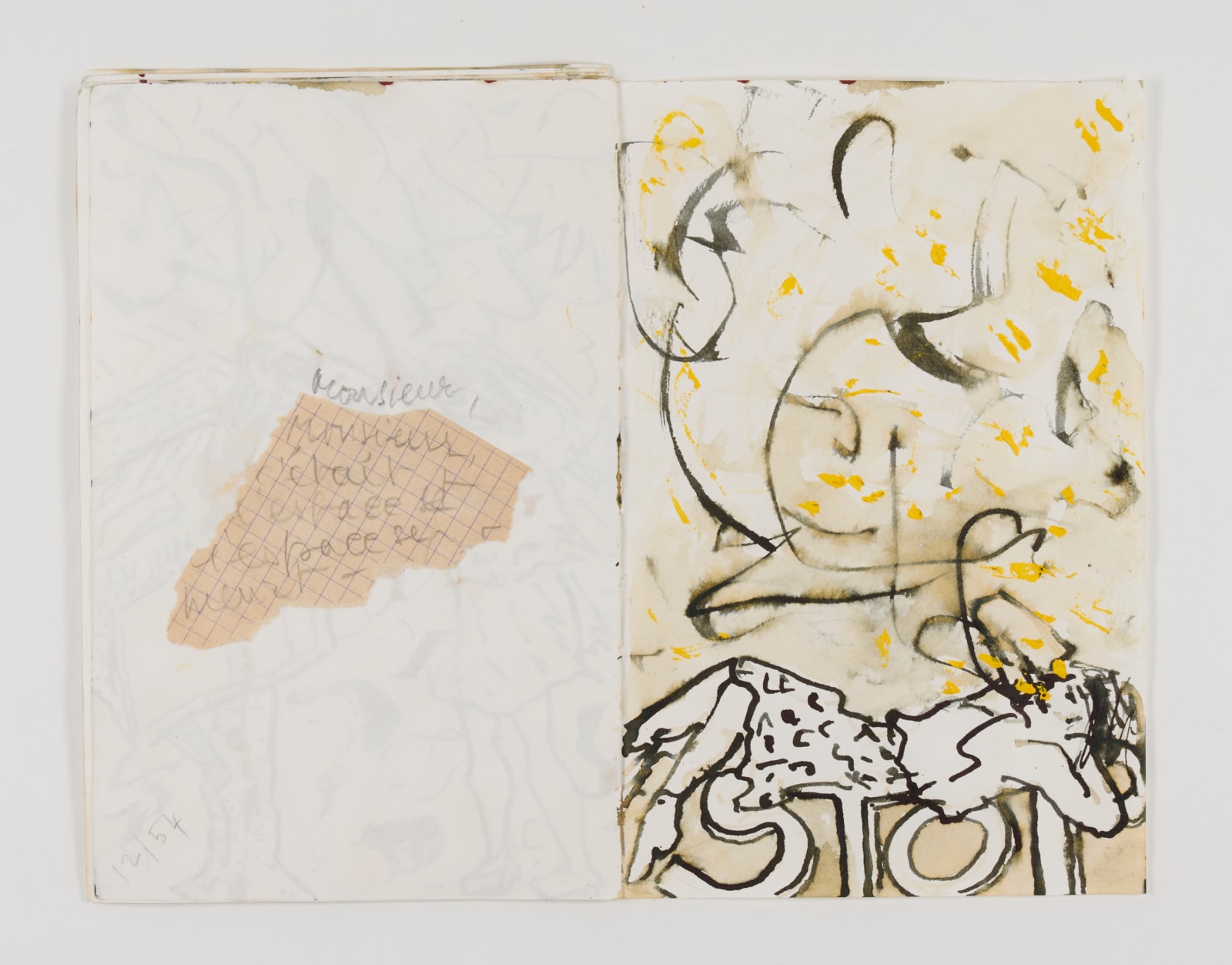 Sabine Monirys, The sketchbooks