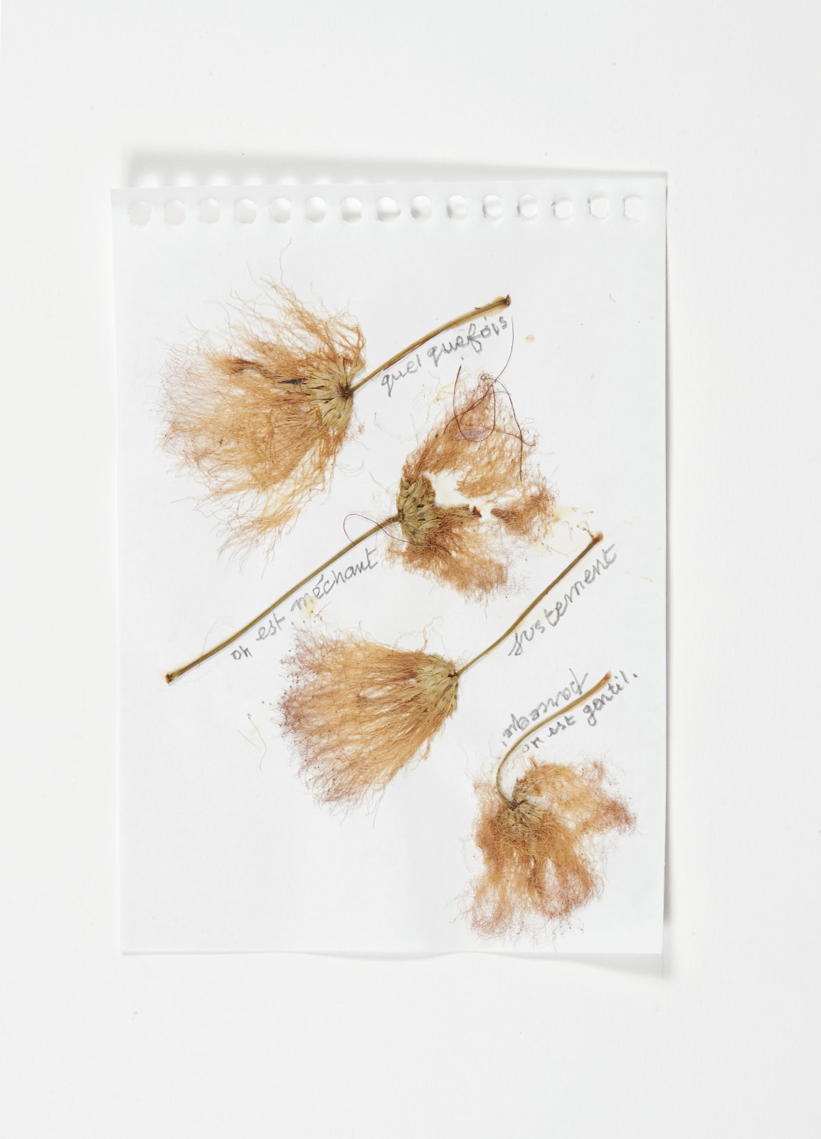 Sabine Monirys, Quelquefois on est méchant justement parce qu’on est gentil