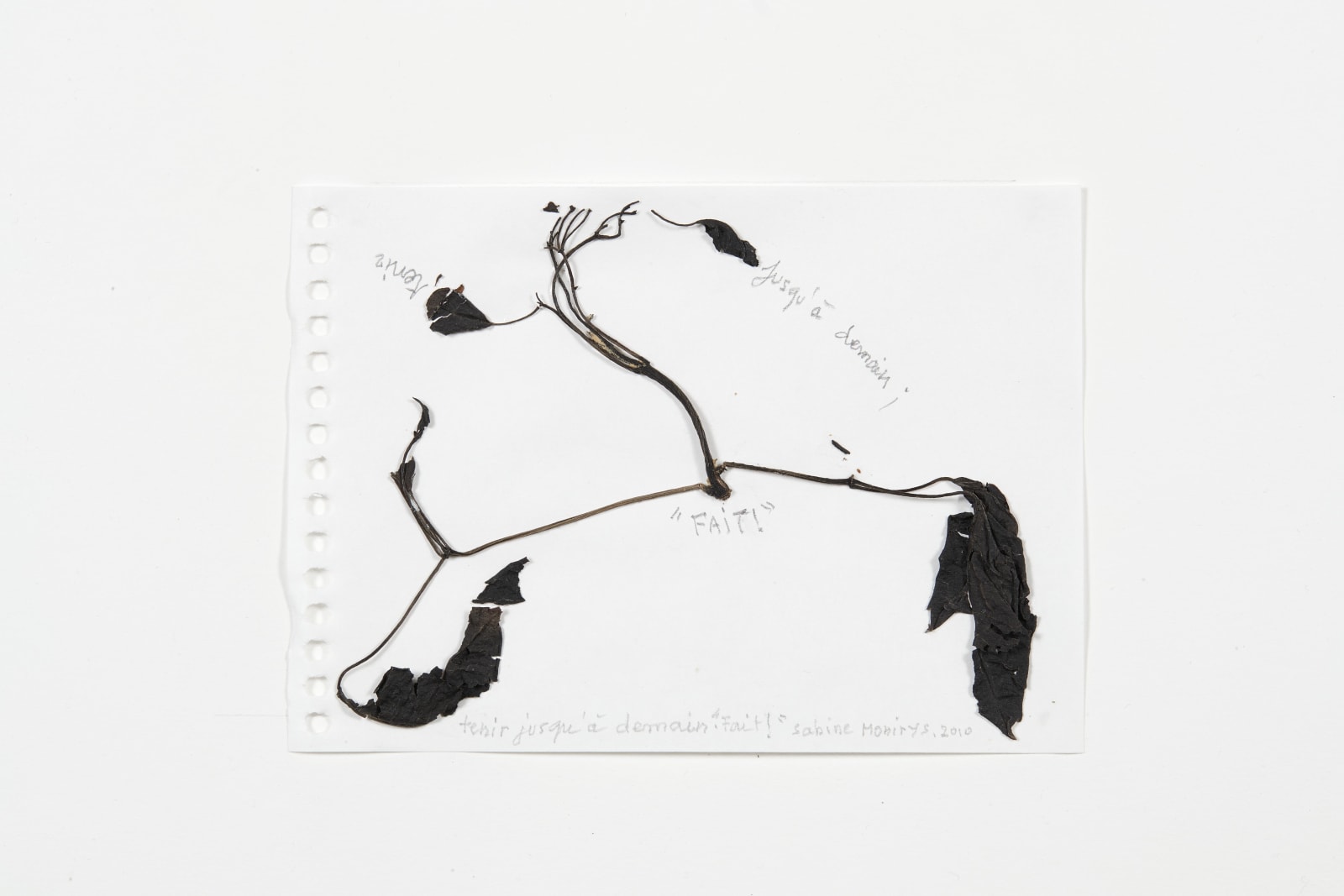 Sabine Monirys, Tenir jusqu’à demain: “FAIT !”